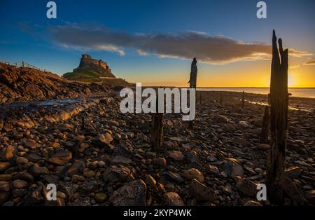 Lindisfarne Castle built by King Henry VIII to guard the Fleet anchorage in the Harbour of Holy Island. The Castle is built on a volcanic outcrop and Stock Photo