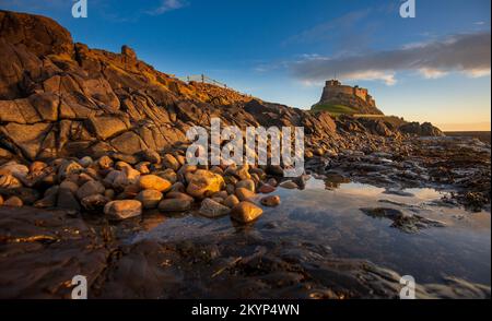 Lindisfarne Castle built by King Henry VIII to guard the Fleet anchorage in the Harbour of Holy Island. The Castle is built on a volcanic outcrop and Stock Photo