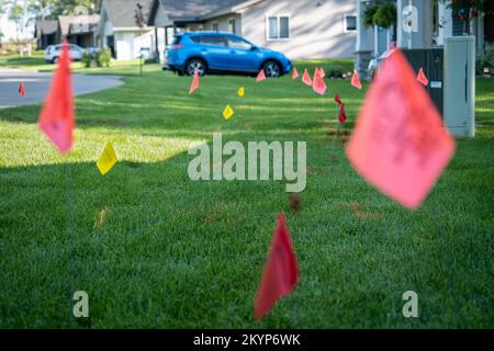 Warning flags on the green grass of a residential lawn, used to prevent injury when digging for landscaping. Stock Photo