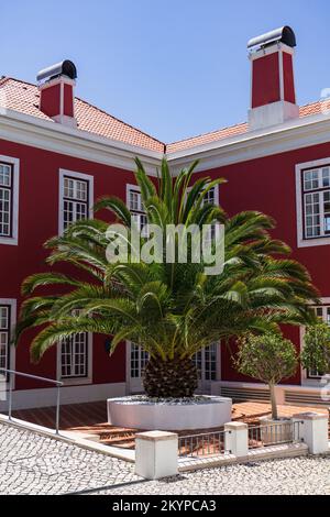 A large beautiful palm tree growing in front of a large beautiful house with burgundy walls, Sines Portugal Stock Photo