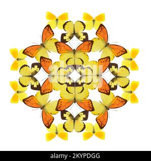 Orange and yellow butterfly pattern artwork on a white background Stock Photo