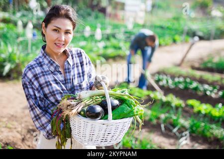 Woman between beds holding basket of harvest Stock Photo
