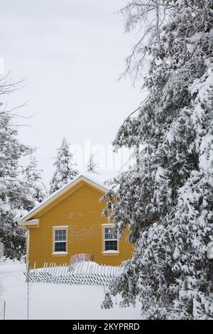 Partial view of mustard yellow country cottage style home framed by snow covered trees in winter. Stock Photo
