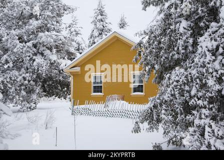 Partial view of mustard yellow country cottage style home framed by snow covered trees in winter. Stock Photo