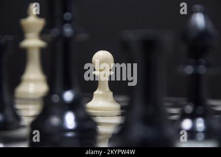 Protection at All Costs: Facing a collection of predators in a strategic chess match a lone Pawn stands up to the challenge of protecting its King. Stock Photo