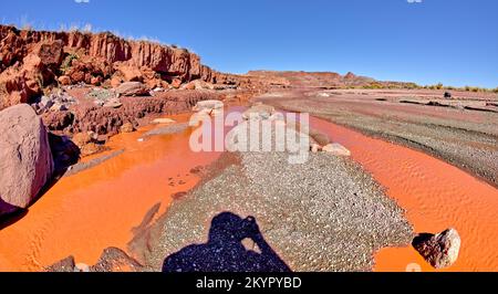 The red water of Lithodendron Wash in Petrified Forest National Park Arizona. The red color is from the bentonite clay in the surrounding hills. Stock Photo