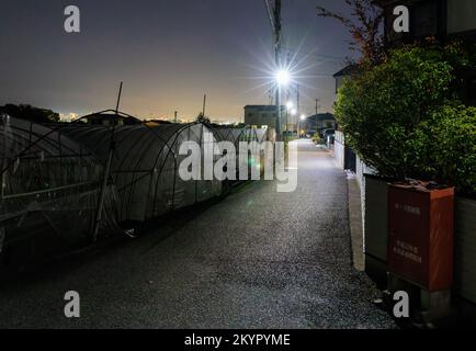 Streetlights on empty road by dark greenhouses at night Stock Photo