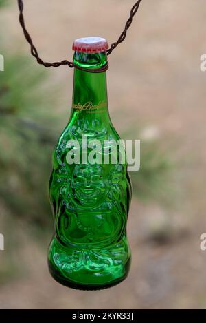 A green Lucky Budweiser beer bottle hanging by wire from a tree. Stock Photo