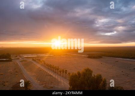 Early morning sunrise agriculture field and farmland in California. Stock Photo