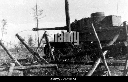 World War Two B&W photo A German Tiger Tank breaks through a Russian Defence perimeter during the Kusk Offensive July 1943 Stock Photo