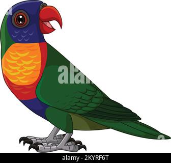 Cartoon Rainbow Lorikeet on White Background Stock Vector
