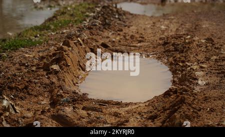 Close up puddle on muddy vehicle trail. Selective focus on mud. Stock Photo