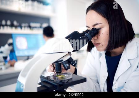 Laboratory, microscope and medical science analysis, research innovation and biotechnology scientist. Chemistry, healthcare engineer working and Stock Photo