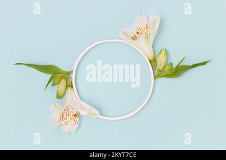 Round frame made of alstroemeria flowers, cotton and green leaves on a ...