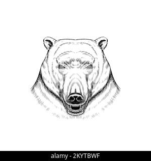 Wild polar bear. Northern Animal in vintage style. Retro vector illustration. Doodle style. Hand drawn engraved sketch Stock Vector