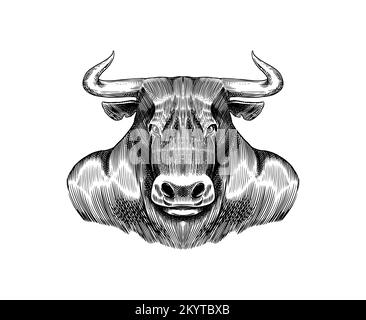 buffalo portrait logo sketch hand drawn Vector Stock Vector Image & Art ...