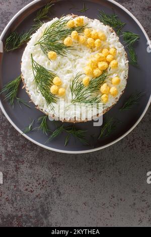 Round formed mimosa salad with vegetables, eggs and canned fish closeup on gray plate on table. Vertical top view from above Stock Photo