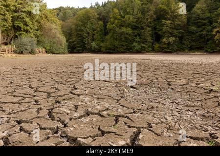 Dried up river bed with remains of cracked mud, located in the forest area Stock Photo