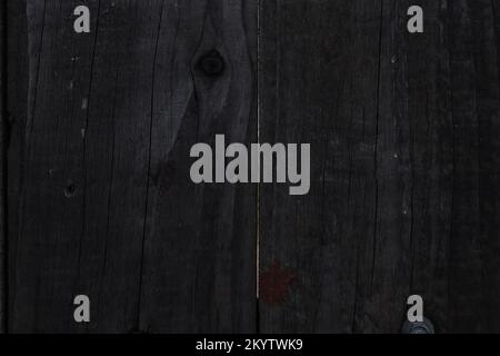 Monochromatic dark wood surface that can be used as a background for some images Stock Photo