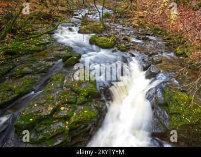 The Birks of Aberfeldy Stock Photo