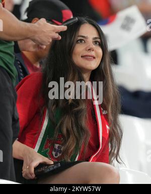 Doha, Qatar. 02nd Dec, 2022. Education City Stadium, Doha December 2nd, 2022,  , QAT, World Cup FIFA 2022, Group H, South Korea vs Portugal, in the picture fans of Portugal in the stands. Credit: dpa picture alliance/Alamy Live News Stock Photo