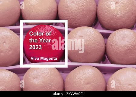Fresh bright oranges neatly in a row laid out in a box on the market in a supermarket counter, toned color of the year 2023 viva magenta Stock Photo