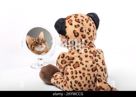 Plush toy leopard looks in the mirror and sees the face of a cat on a white background. Stock Photo