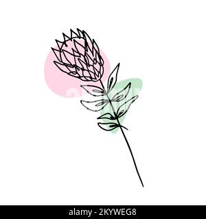 Single line drawing of protea flower and abstract shapes Stock Vector