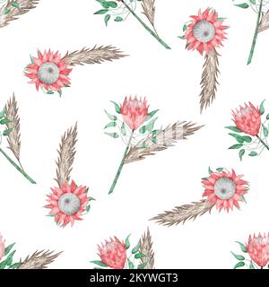 Seamless pattern with watercolor protea flowers Stock Photo