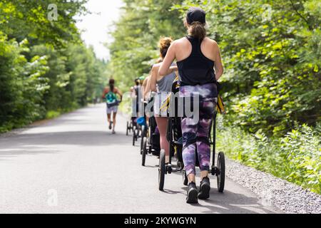 Wide angle shot of mothers walking together in group session and practicing cardio exercise in green nature environment during daytime Stock Photo