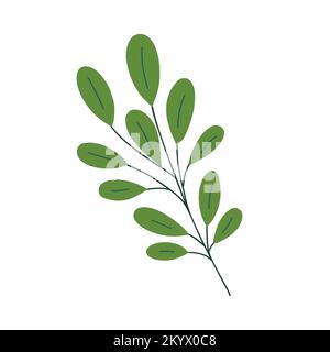 Christmas plant, decorative branch with leaves for home decor, festive holiday arrangement, vector illustration for seasonal greeting card, invitation, banner Stock Vector