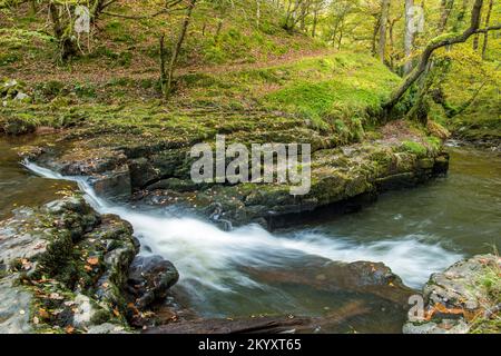 The Waterfall below the bridge of Pont Melin Fach on the waterfall walk down and along the River Neath, Afon Nedd in the Vale of Neath south Wales Stock Photo