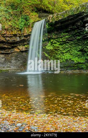 Scwd or Sgwy Gwladys on the Afon or River Pyrddin in the Vale of Neath on the waterfall walk. Stock Photo