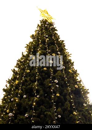 Christmas tree, Decorated christmas tree,Christmas Stock Photo