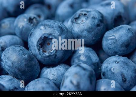 Fresh blueberry background. Northern bilberry or western blueberry. Texture blueberry berries close up. Stock Photo
