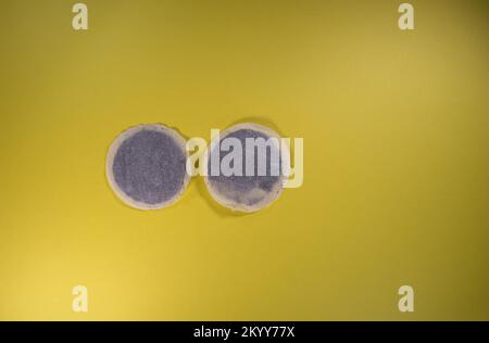 two round tea bags isolated on a yellow background Stock Photo