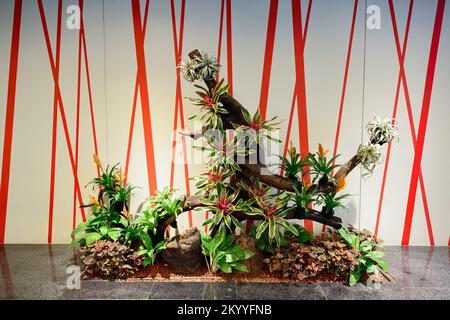 SINGAPORE - NOVEMBER 09, 2015: interior of Changi Airport. Singapore Changi Airport, is the primary civilian airport for Singapore, and one of the lar Stock Photo