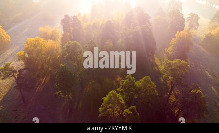 Flying over the trees with yellow leaves in a meadow in the park or forest on a sunny autumn morning. Aerial drone view. Bright sunlight, sunbeams,overexposure. Top view. Beautiful natural background Stock Photo