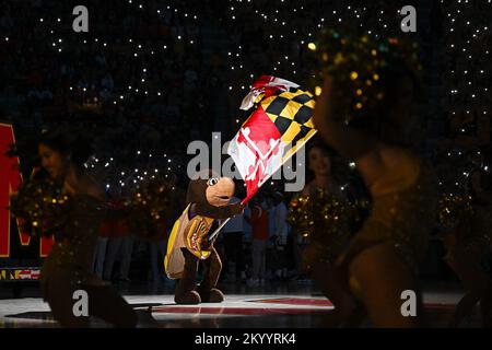College Park, MD, USA. 02nd Dec, 2022. Maryland Terrapins mascot waves the Maryland flag before the NCAA basketball game between the Maryland Terrapins and the Illinois Fighting Illini at Xfinity Center in College Park, MD. Reggie Hildred/CSM/Alamy Live News Stock Photo