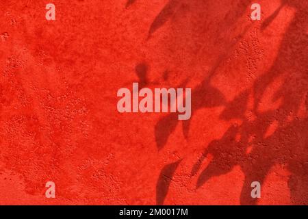 Shadow of leaves on red concrete wall texture background Stock Photo