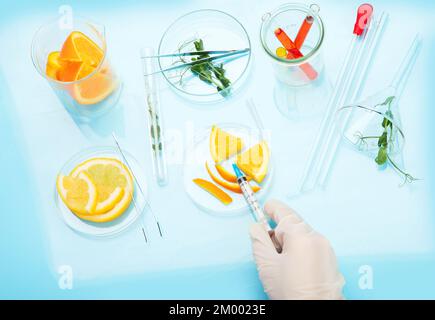 Laboratory glassware with plants and citrus fruits. top view, copy space Stock Photo