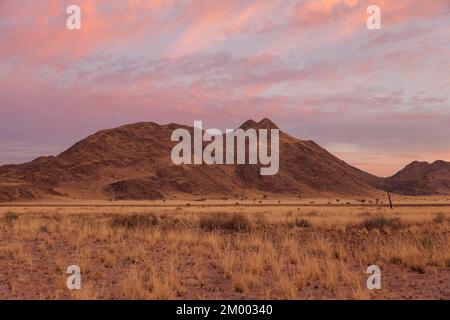 x>Sunrise, dawn, landscape on the main road C19, Namibia, Africa Stock Photo