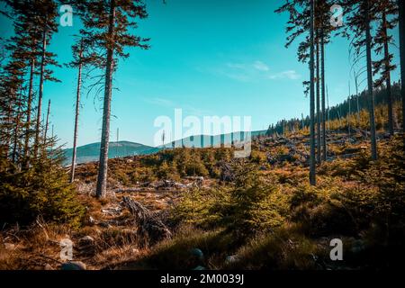 Beautiful view of the woods in the mountains Karkonosze Kapracz Poland Stock Photo