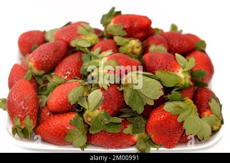 Pile of fresh strawberries fruit, the garden strawberry is a widely grown hybrid species of the genus Fragaria ananassa with its characteristic aroma, Stock Photo