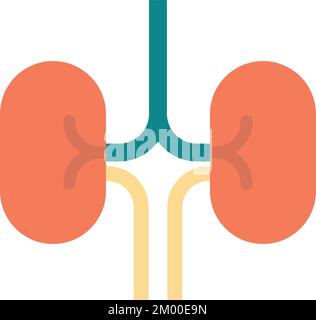 kidney illustration in minimal style isolated on background Stock Vector