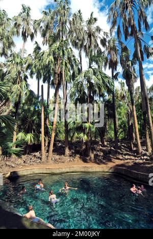 Mataranka, Australia - April 21, 2012: Unidentified people enjoy the warm water of the natural thermal pool on the top end of Northern Territory Stock Photo