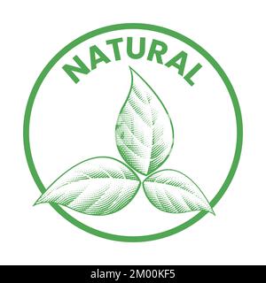 Natural Round Icon with 3 Shaded Engraved Green Leaves isolated on a ...