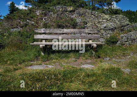 Old weathered bench on a hiking trail. Stock Photo