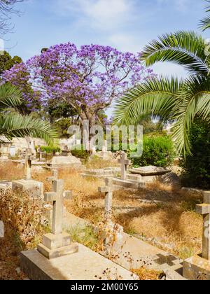 Floriana, Malta - May, 2021: Military Cemetery Pieta (Pietà) located just outside Valletta . The tranquil cemetery is well worth a visit to pay respec Stock Photo