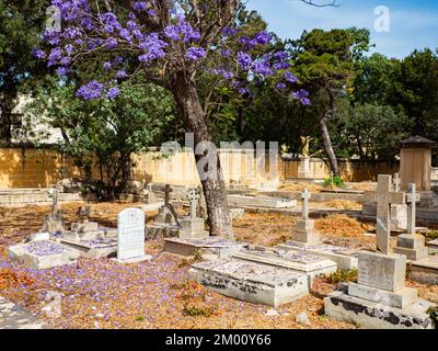 Floriana, Malta - May, 2021: Military Cemetery Pieta (Pietà) located just outside Valletta . The tranquil cemetery is well worth a visit to pay respec Stock Photo